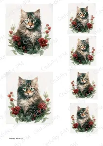 Rýžový a Soft  papír  A4 pro decoupage- R0753