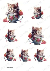 Rýžový a Soft  papír  A4 pro decoupage- R0764