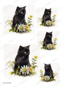 Rýžový a Soft  papír  A4 pro decoupage- R0765