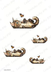 Rýžový a Soft  papír  A4 pro decoupage- R0773