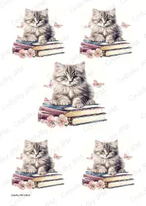 Rýžový a Soft  papír  A4 pro decoupage - R0016
