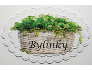 Bylinky-34