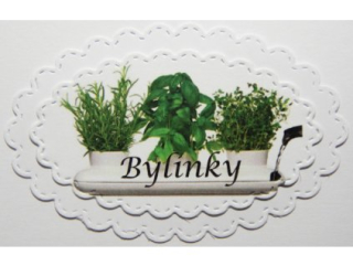 Bylinky-36