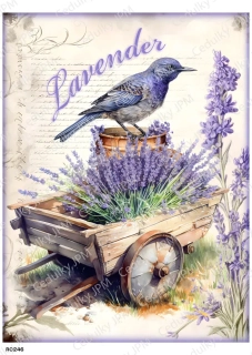 Rýžový a Soft  papír  A4 pro decoupage- R0246