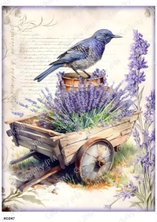 Rýžový a Soft  papír  A4 pro decoupage- R0247
