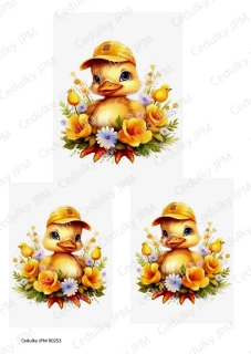 Rýžový a Soft  papír  A4 pro decoupage- R0253