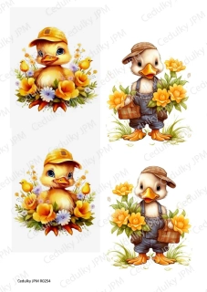 Rýžový a Soft  papír  A4 pro decoupage- R0254