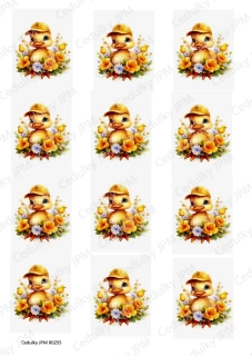 Rýžový a Soft  papír  A4 pro decoupage- R0255