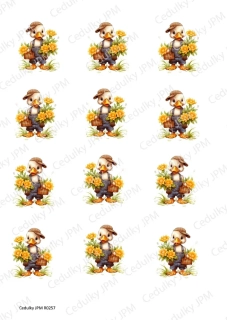 Rýžový a Soft  papír  A4 pro decoupage- R0257