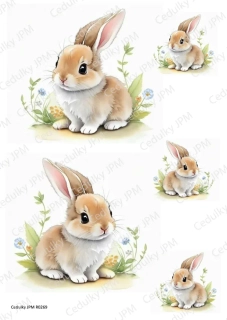 Rýžový a Soft  papír  A4 pro decoupage- R0269
