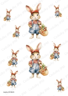 Rýžový a Soft  papír  A4 pro decoupage- R0270