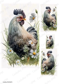 Rýžový a Soft  papír  A4 pro decoupage- R0275