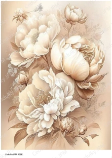 Rýžový a Soft  papír  A4 pro decoupage- R0281
