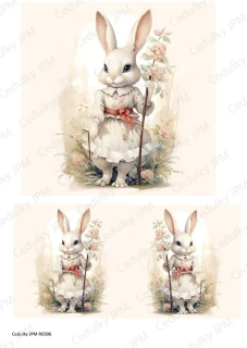 Rýžový a Soft  papír  A4 pro decoupage- R0306