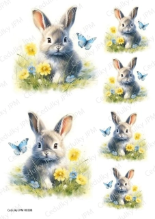 Rýžový a Soft  papír  A4 pro decoupage- R0308