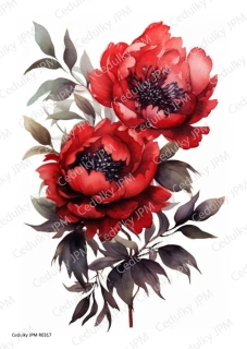 Rýžový a Soft  papír  A4 pro decoupage- R0317