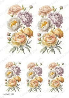 Rýžový a Soft  papír  A4 pro decoupage- R0320