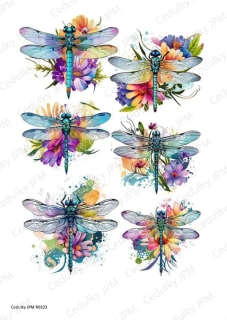 Rýžový a Soft  papír  A4 pro decoupage- R0323