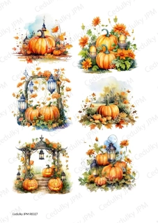 Rýžový a Soft  papír  A4 pro decoupage- R0327