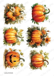 Rýžový a Soft  papír  A4 pro decoupage- R0328