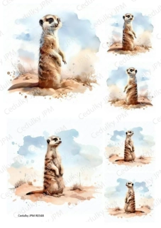 Rýžový a Soft  papír  A4 pro decoupage- R0348