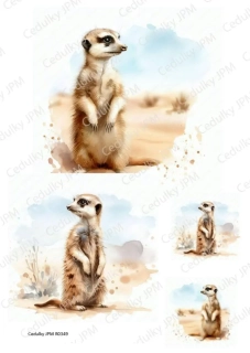 Rýžový a Soft  papír  A4 pro decoupage- R0349