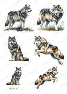 Rýžový a Soft  papír  A4 pro decoupage- R0351
