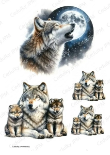 Rýžový a Soft  papír  A4 pro decoupage- R0352