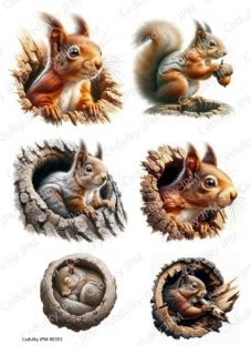 Rýžový a Soft  papír  A4 pro decoupage- R0353