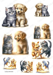 Rýžový a Soft  papír  A4 pro decoupage- R0354