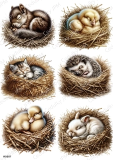 Rýžový a Soft  papír  A4 pro decoupage- R0367
