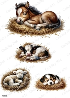 Rýžový a Soft  papír  A4 pro decoupage- R0368