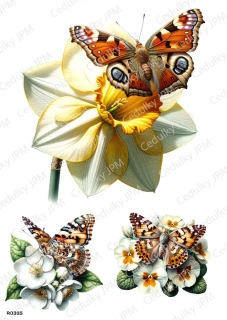 Rýžový a Soft  papír  A4 pro decoupage- R0385