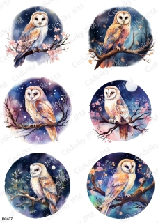 Rýžový a Soft  papír  A4 pro decoupage- R0417