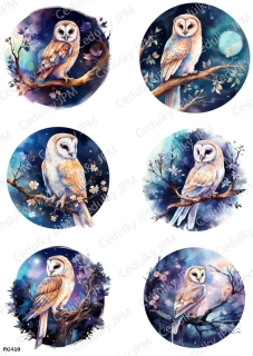 Rýžový a Soft  papír  A4 pro decoupage- R0419