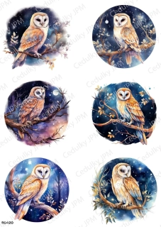 Rýžový a Soft  papír  A4 pro decoupage- R0420