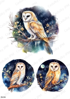 Rýžový a Soft  papír  A4 pro decoupage- R0421