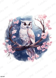 Rýžový a Soft  papír  A4 pro decoupage- R0424