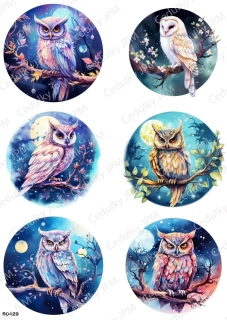Rýžový a Soft  papír  A4 pro decoupage- R0429
