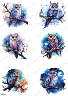Rýžový a Soft  papír  A4 pro decoupage- R0433