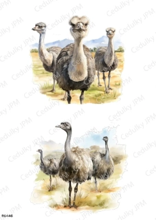 Rýžový a Soft  papír  A4 pro decoupage- R0446