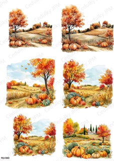 Rýžový a Soft  papír  A4 pro decoupage- R0460