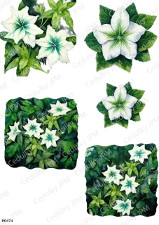 Rýžový a Soft  papír  A4 pro decoupage- R0474