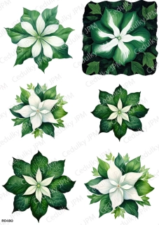 Rýžový a Soft  papír  A4 pro decoupage- R0480