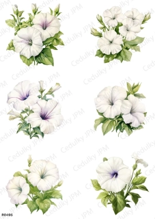 Rýžový a Soft  papír  A4 pro decoupage- R0495