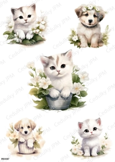 Rýžový a Soft  papír  A4 pro decoupage- R0497