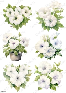 Rýžový a Soft  papír  A4 pro decoupage- R0499
