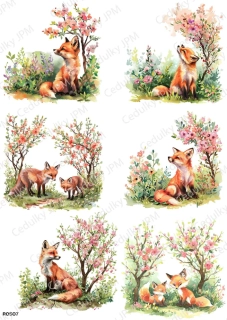 Rýžový a Soft  papír  A4 pro decoupage- R0507