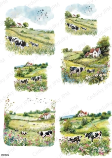 Rýžový a Soft  papír  A4 pro decoupage- R0521