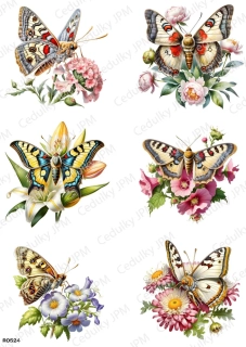 Rýžový a Soft  papír  A4 pro decoupage- R0524